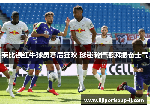 莱比锡红牛球员赛后狂欢 球迷激情澎湃振奋士气