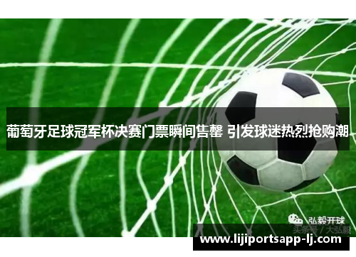 葡萄牙足球冠军杯决赛门票瞬间售罄 引发球迷热烈抢购潮